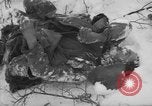 Image of Bodies of dead German soldiers in snow Ambleve Belgium, 1945, second 6 stock footage video 65675071159