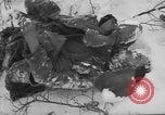 Image of Bodies of dead German soldiers in snow Ambleve Belgium, 1945, second 7 stock footage video 65675071159