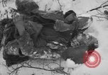 Image of Bodies of dead German soldiers in snow Ambleve Belgium, 1945, second 8 stock footage video 65675071159