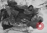 Image of Bodies of dead German soldiers in snow Ambleve Belgium, 1945, second 11 stock footage video 65675071159