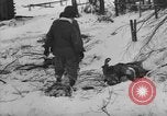 Image of Bodies of dead German soldiers in snow Ambleve Belgium, 1945, second 14 stock footage video 65675071159