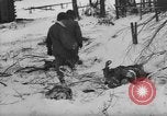 Image of Bodies of dead German soldiers in snow Ambleve Belgium, 1945, second 17 stock footage video 65675071159