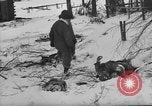 Image of Bodies of dead German soldiers in snow Ambleve Belgium, 1945, second 18 stock footage video 65675071159