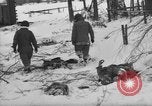 Image of Bodies of dead German soldiers in snow Ambleve Belgium, 1945, second 21 stock footage video 65675071159