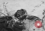 Image of Bodies of dead German soldiers in snow Ambleve Belgium, 1945, second 25 stock footage video 65675071159