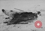 Image of Bodies of dead German soldiers in snow Ambleve Belgium, 1945, second 30 stock footage video 65675071159