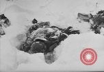 Image of Bodies of dead German soldiers in snow Ambleve Belgium, 1945, second 47 stock footage video 65675071159