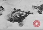 Image of Bodies of dead German soldiers in snow Ambleve Belgium, 1945, second 48 stock footage video 65675071159