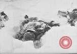 Image of Bodies of dead German soldiers in snow Ambleve Belgium, 1945, second 49 stock footage video 65675071159