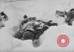 Image of Bodies of dead German soldiers in snow Ambleve Belgium, 1945, second 50 stock footage video 65675071159