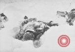 Image of Bodies of dead German soldiers in snow Ambleve Belgium, 1945, second 53 stock footage video 65675071159