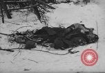 Image of Bodies of dead German soldiers in snow Ambleve Belgium, 1945, second 61 stock footage video 65675071159