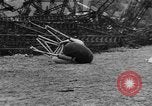 Image of Hindenburg crash New Jersey United States USA, 1937, second 55 stock footage video 65675071175