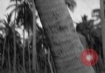 Image of amphibious landing Palau Islands, 1944, second 8 stock footage video 65675071179