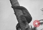 Image of amphibious landing Palau Islands, 1944, second 10 stock footage video 65675071179