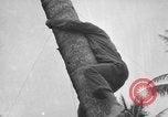 Image of amphibious landing Palau Islands, 1944, second 11 stock footage video 65675071179