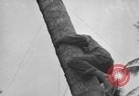 Image of amphibious landing Palau Islands, 1944, second 13 stock footage video 65675071179