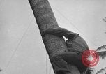 Image of amphibious landing Palau Islands, 1944, second 14 stock footage video 65675071179