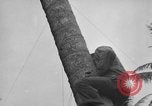 Image of amphibious landing Palau Islands, 1944, second 15 stock footage video 65675071179