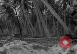 Standbild amphibische Landung Palau Inseln, 1944, aus Sekunde 58 historischem Filmmaterial Videoclip 65675071180