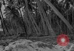 Standbild amphibische Landung Palau Inseln, 1944, aus Sekunde 59 historischem Filmmaterial Videoclip 65675071180