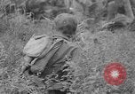 Image of amphibious landing Palau Islands, 1944, second 37 stock footage video 65675071181