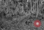 Image of amphibious landing Palau Islands, 1944, second 40 stock footage video 65675071181