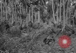 Image of amphibious landing Palau Islands, 1944, second 41 stock footage video 65675071181