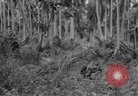 Image of amphibious landing Palau Islands, 1944, second 42 stock footage video 65675071181