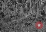 Image of amphibious landing Palau Islands, 1944, second 43 stock footage video 65675071181