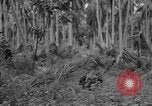 Image of amphibious landing Palau Islands, 1944, second 44 stock footage video 65675071181