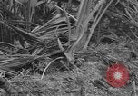 Image of amphibious landing Palau Islands, 1944, second 57 stock footage video 65675071181