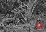 Image of amphibious landing Palau Islands, 1944, second 58 stock footage video 65675071181