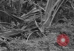 Image of amphibious landing Palau Islands, 1944, second 59 stock footage video 65675071181