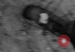 Image of amphibious landing Palau Islands, 1944, second 58 stock footage video 65675071182