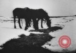 Image of German and Hungarian troops joining forces Ukraine, 1941, second 23 stock footage video 65675071183