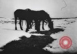 Image of German and Hungarian troops joining forces Ukraine, 1941, second 24 stock footage video 65675071183