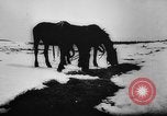 Image of German and Hungarian troops joining forces Ukraine, 1941, second 25 stock footage video 65675071183