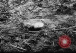 Image of German and Hungarian troops joining forces Ukraine, 1941, second 30 stock footage video 65675071183