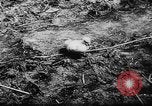 Image of German and Hungarian troops joining forces Ukraine, 1941, second 31 stock footage video 65675071183