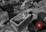 Standbild Antenne gunnery United States USA, 1944, aus Sekunde 19 historischem Filmmaterial Videoclip 65675071194