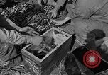 Standbild Antenne gunnery United States USA, 1944, aus Sekunde 20 historischem Filmmaterial Videoclip 65675071194