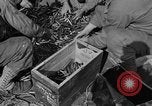 Standbild Antenne gunnery United States USA, 1944, aus Sekunde 21 historischem Filmmaterial Videoclip 65675071194