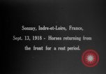 Standbild Pferde Sonzay Indre-et-Loire Frankreich, 1918, aus Sekunde 1 historischem Filmmaterial Videoclip 65675071199