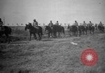 Standbild Pferde Sonzay Indre-et-Loire Frankreich, 1918, aus Sekunde 5 historischem Filmmaterial Videoclip 65675071199