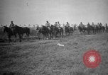 Standbild Pferde Sonzay Indre-et-Loire Frankreich, 1918, aus Sekunde 7 historischem Filmmaterial Videoclip 65675071199