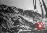 Image of German failure Europe, 1918, second 34 stock footage video 65675071206