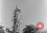Image of German attack in France France, 1916, second 40 stock footage video 65675071216