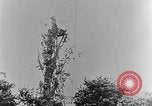 Image of German attack in France France, 1916, second 42 stock footage video 65675071216