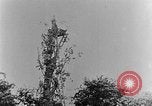 Image of German attack in France France, 1916, second 43 stock footage video 65675071216